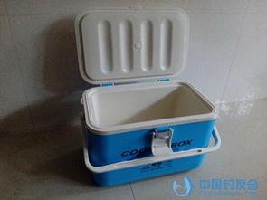 国产钓箱视频直播在线