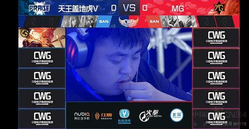 国产秦总二探花视频网站,揭秘视频网站背后的精彩故事